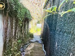 -东湖小天池真人CS彩弹野战基地