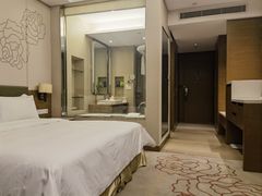 -南阳建业森林半岛假日酒店