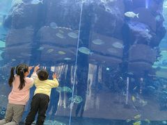 -OPEN開全日自助餐厅·牛肉火锅·海鲜(佛山希尔顿酒店)