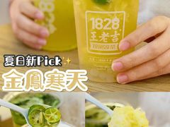 -1828王老吉·草本新茶(珠江新城地铁站店)