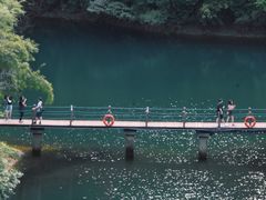 -鼎湖山风景区