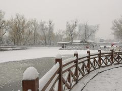 -迎泽公园