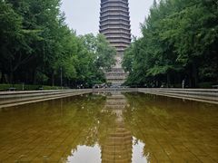 -玲珑塔公园