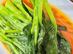 -莱莱小笼·乔艾