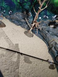 -未来动物城动物主题公园(大悦城店)