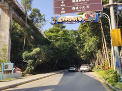 -东部华侨城