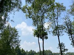 -中国天府农业博览园