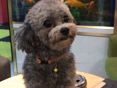 -拳盛时代拳击俱乐部(北京路店)