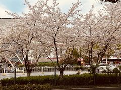 -芙蓉堂(武汉天地店)