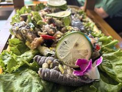 -老渔家白族·石板烧·野生菌火锅(古城中心店)