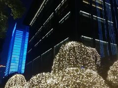 -丽晶轩中餐厅(重庆丽晶酒店)