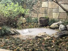 -中国茶叶博物馆(双峰馆区)