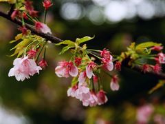 -静安雕塑公园