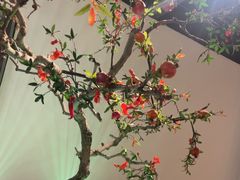 -荷塘秋月·本帮江浙菜(国权路店)