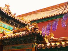 -故宫博物院(故宫)