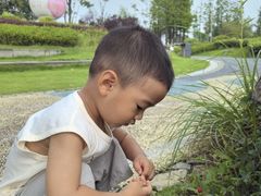 -铁山坪森林公园