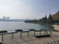 -天鹅湖体育公园