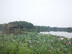 -上海市保健医疗中心