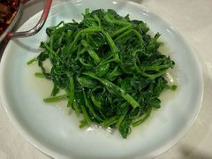 清炒豌豆尖-嘉陵楼馋嘴城(簋街总店)