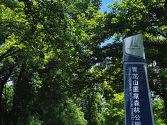-青龙山国家森林公园