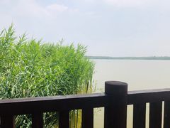 -西青郊野公园