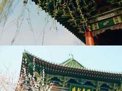 -迎泽公园