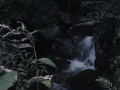 -藏龙百瀑风景区