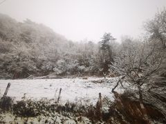 -秦岭风景区