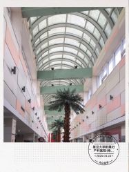 -复旦大学附属妇产科医院(杨浦院区)