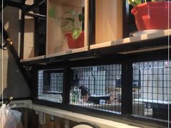 -新百幺妹火锅(新百广场万宇步行街总店)