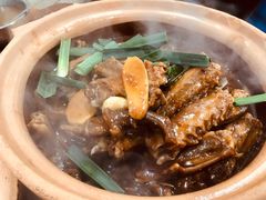 掌翼煲-广宁炭炉鸡煲·富临门饭店
