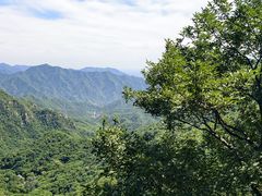 -大岭沟猕猴桃谷风景区