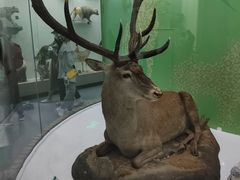 -国家自然博物馆