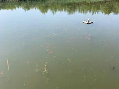 -前关湿地公园