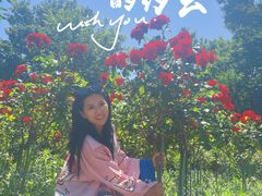 -上海鲜花港