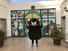 -中加枫华国际学校