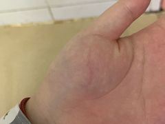 -楼上猫咖(罗湖店)