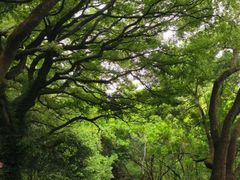 -普陀山风景名胜区-法雨禅寺