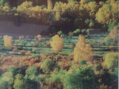 -塞罕坝国家级自然保护区