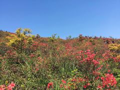 -瑞安圣井山景区