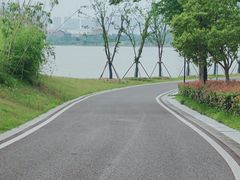 -九龙湖公园