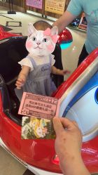 -卡通尼·Safari非洲探索乐园·生日会(金桥国际商业广场店)