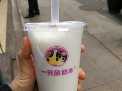 -一只酸奶牛(八一路店)