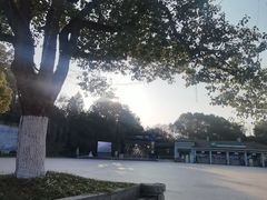 -天目湖山水园