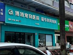 -博特宠物医院24h犬猫全科.骨科·异宠