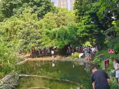 -成都市活水公园