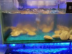 -SEA西雅图海鲜自助餐厅(海乐世界店)