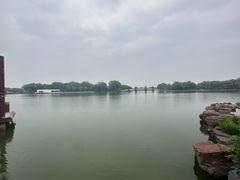 -石家庄市植物园