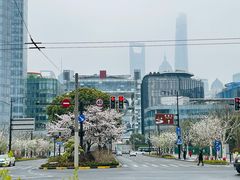 -北外滩滨江绿地