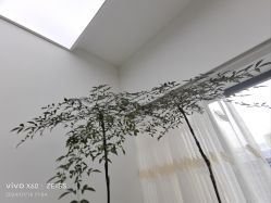 -HEYAN荷妍专业脱毛连锁机构